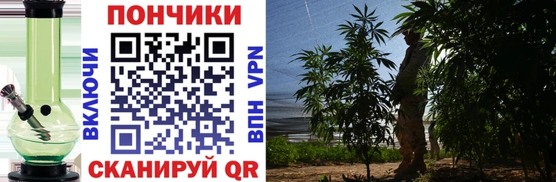 Виды наркотиков купить Бугульма Alpha-PVP  Галлюциногенные грибы  Канабис  МЕФ 